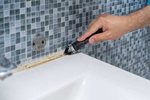 Best Emergency Mold Removal  in Yadkinville, NC